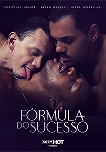 poster do filme Fórmula do Sucesso